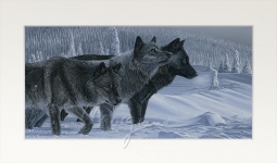 Shades of Grey Open Edition