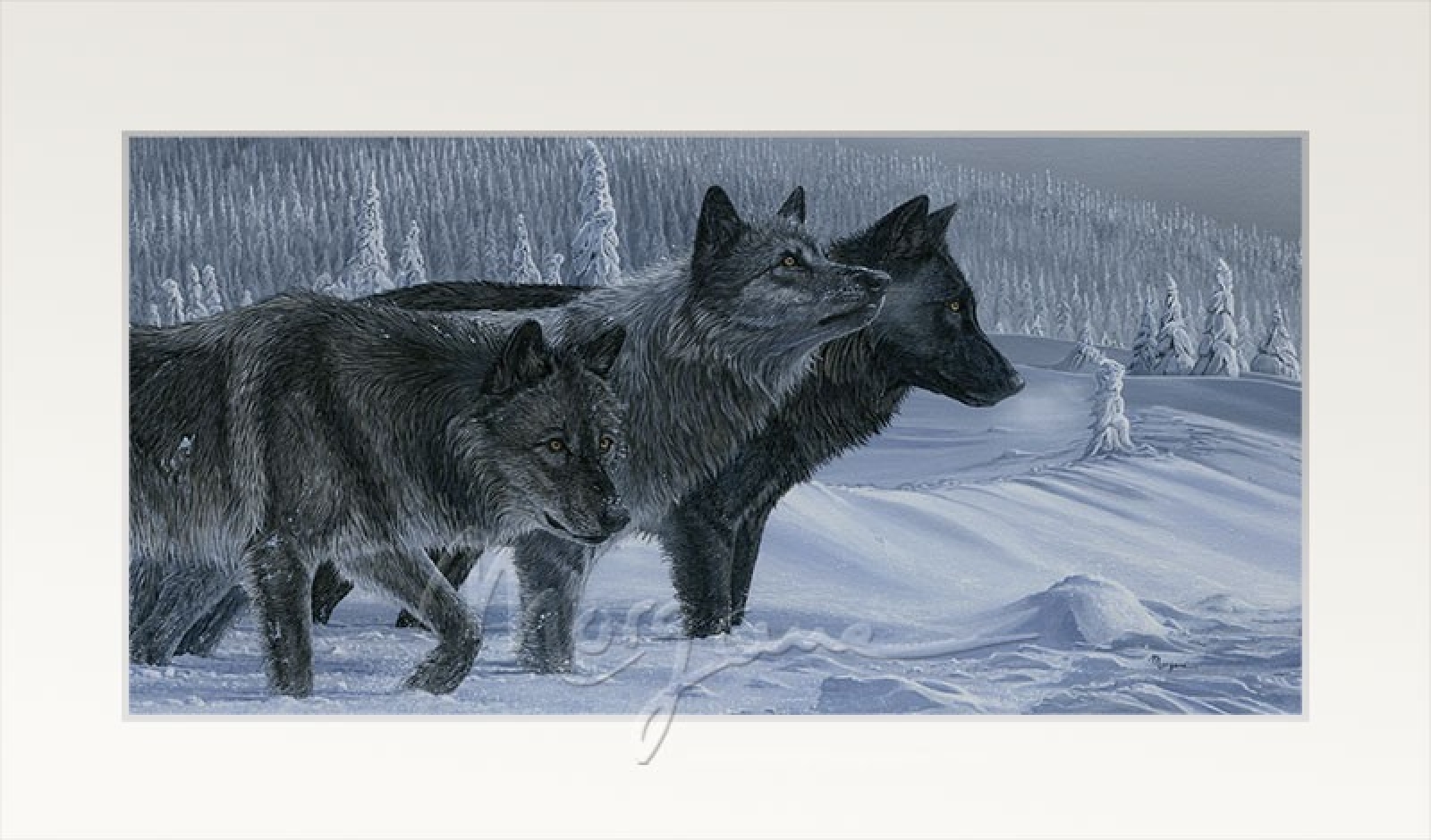 Shades of Grey Open Edition