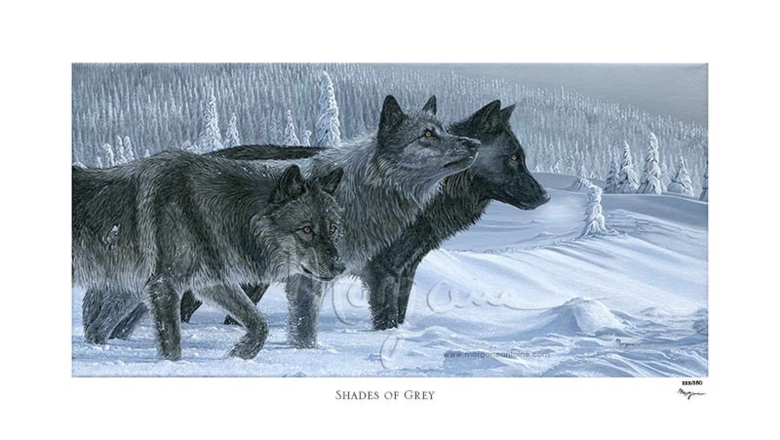 Shades of Grey Limited Edition