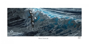 Wave Dancer Limited Edition