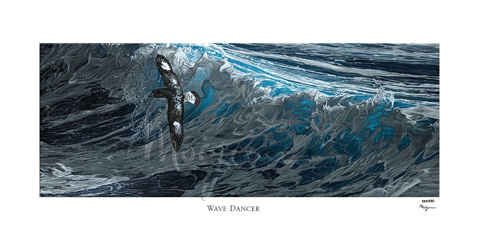 Wave Dancer Limited Edition