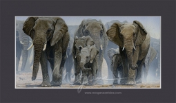 Marching Open Edition