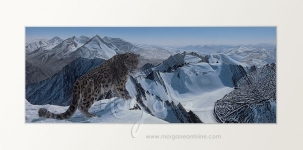 Roof of the World Open Edition