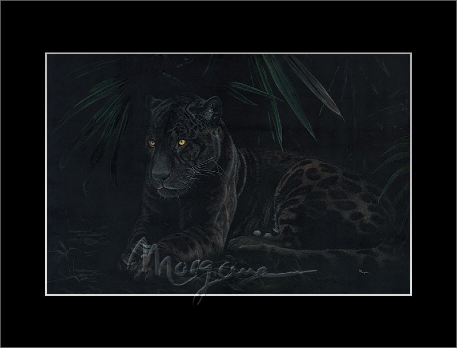 Pantanal Shadow Open Edition