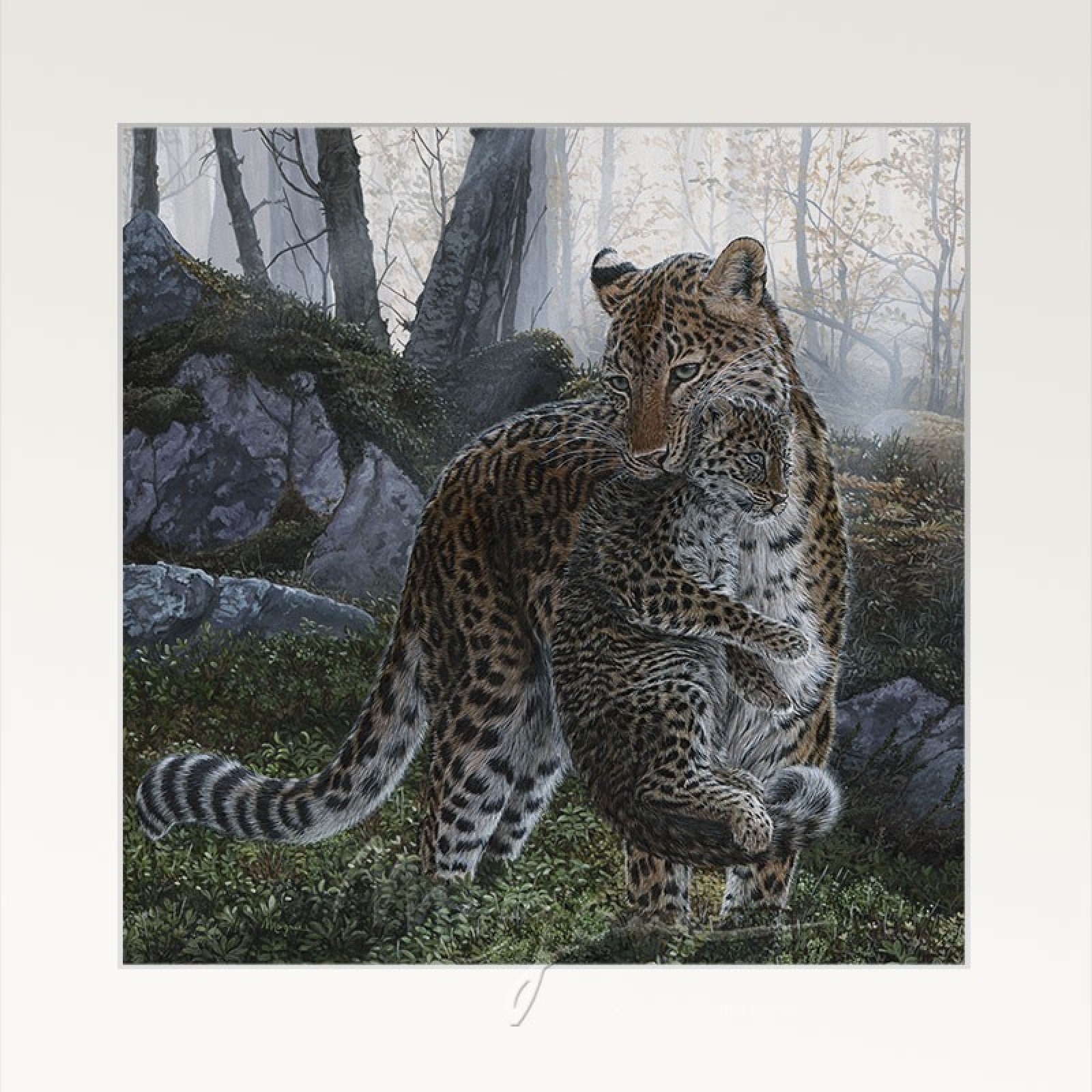 A New Hope Open Edition