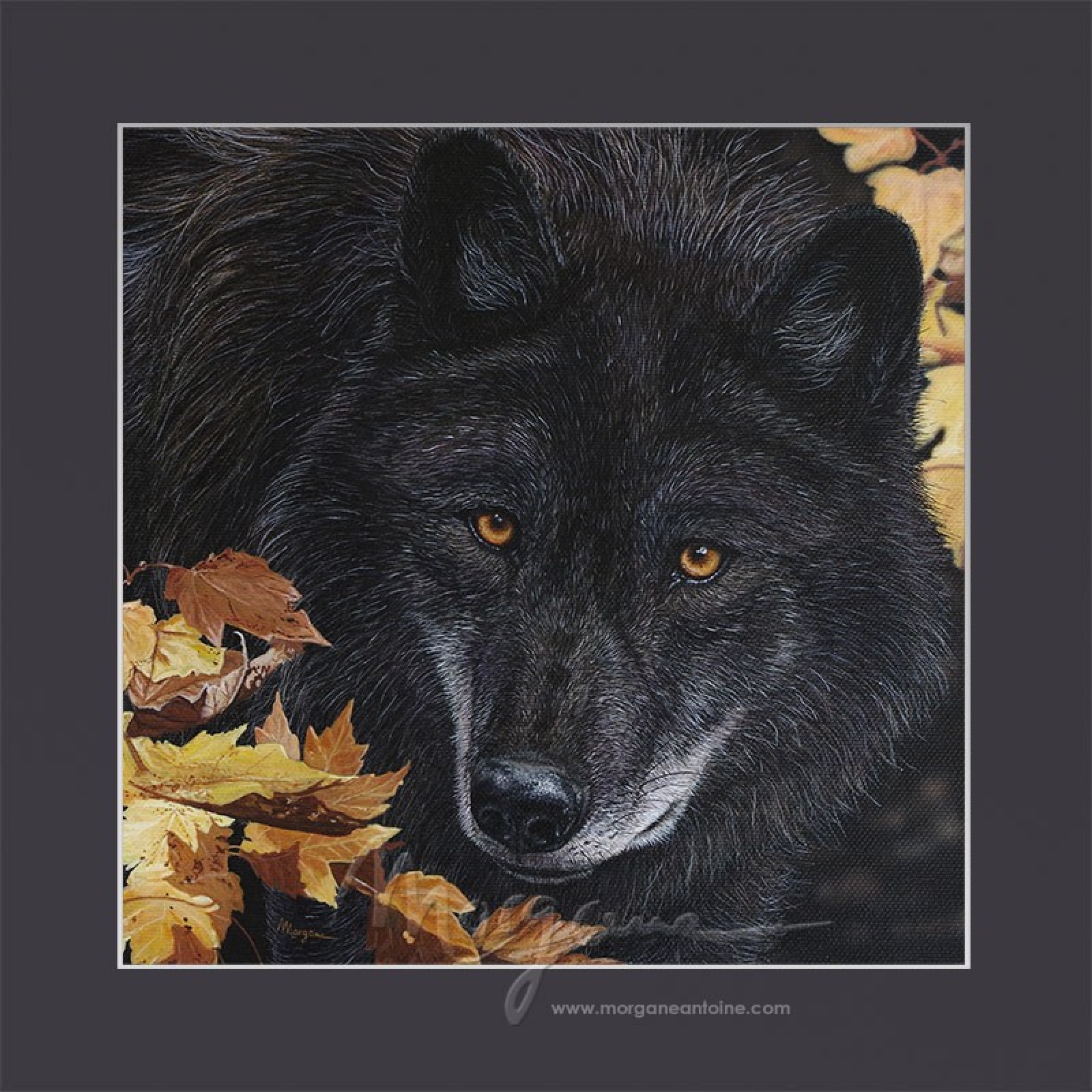 Onyx & Gold Open Edition