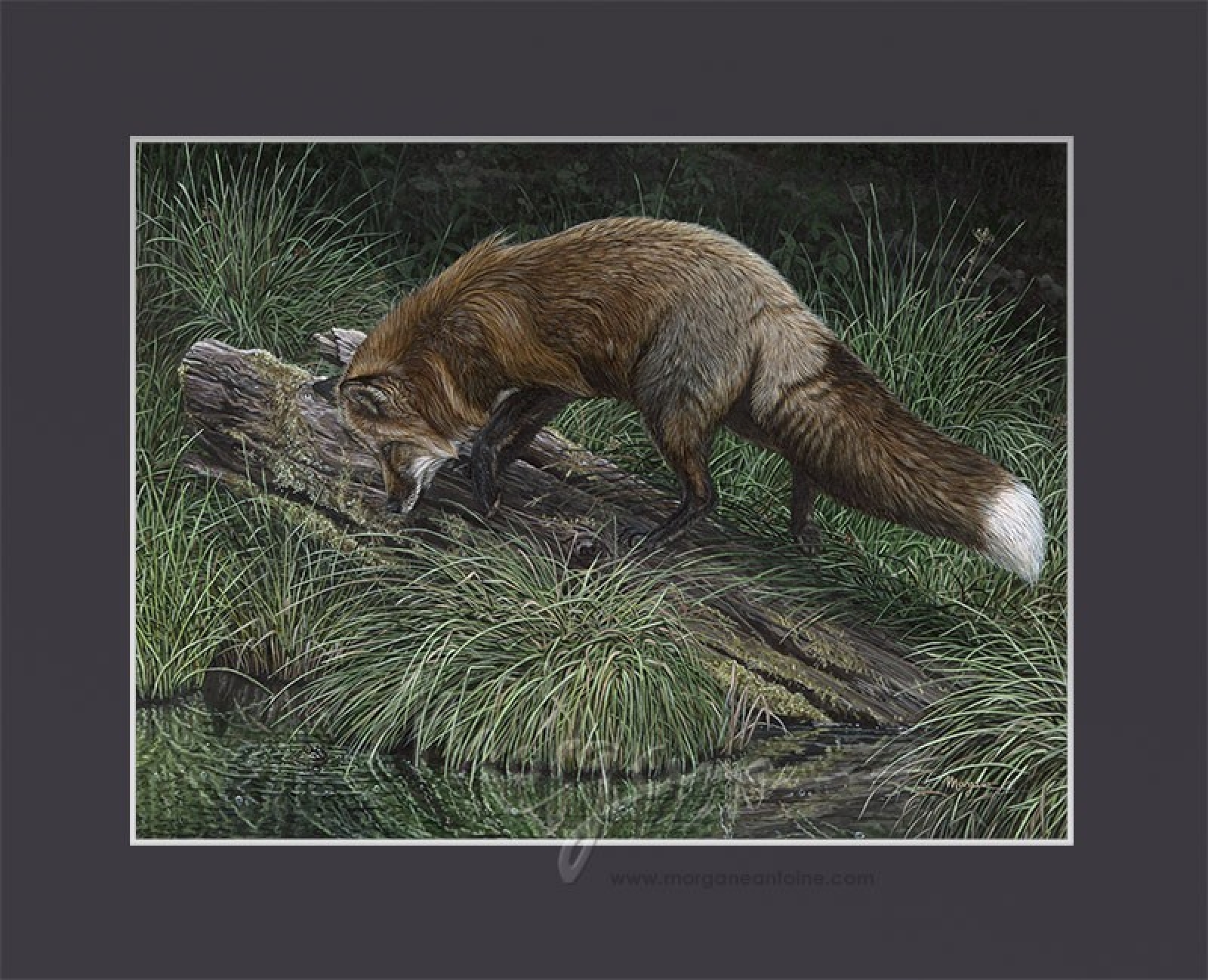 Did Ya Hear That? Open Edition