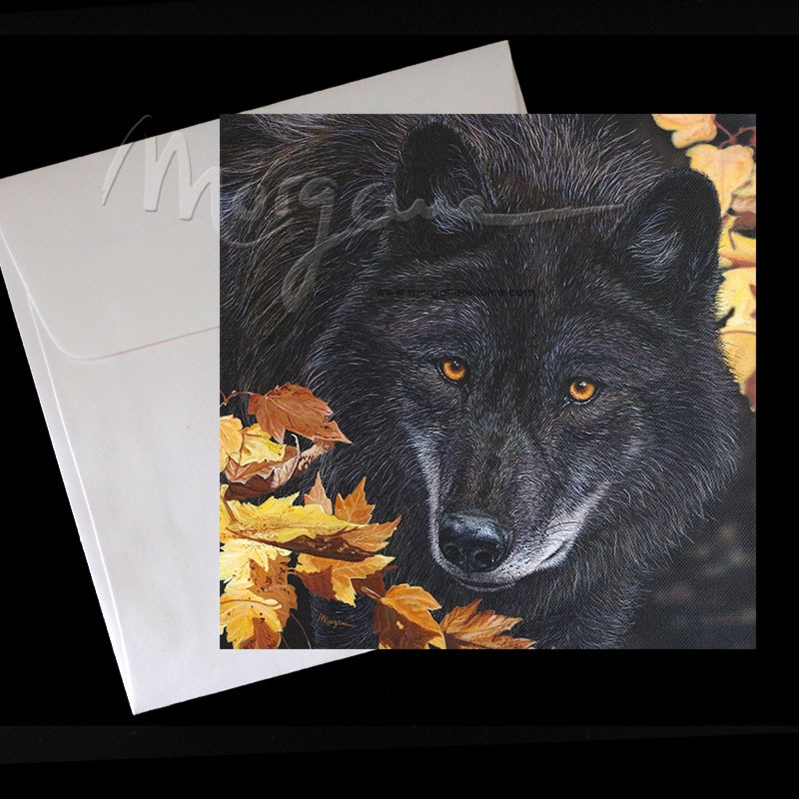 Onyx & Gold Postcard