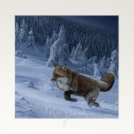 Twilight Traveler Open Edition