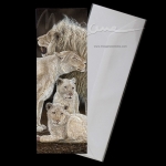 Kruger Family Postcard