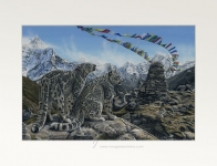 A Prayer for the Snow Leopard Open Edition