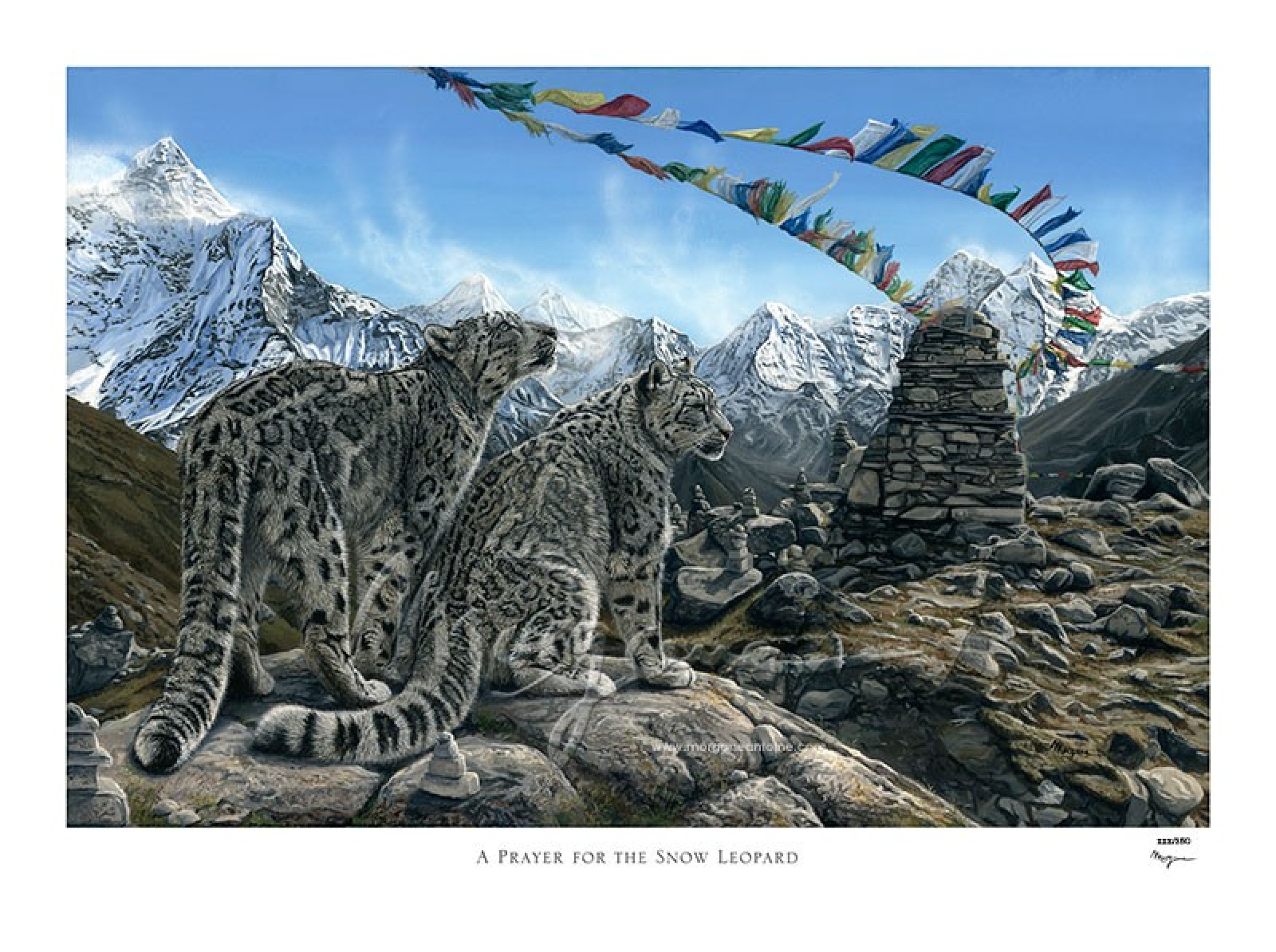 A Prayer for the Snow Leopard Edition Limitée
