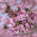 Busy Bees II