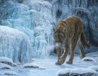 Icy Threat