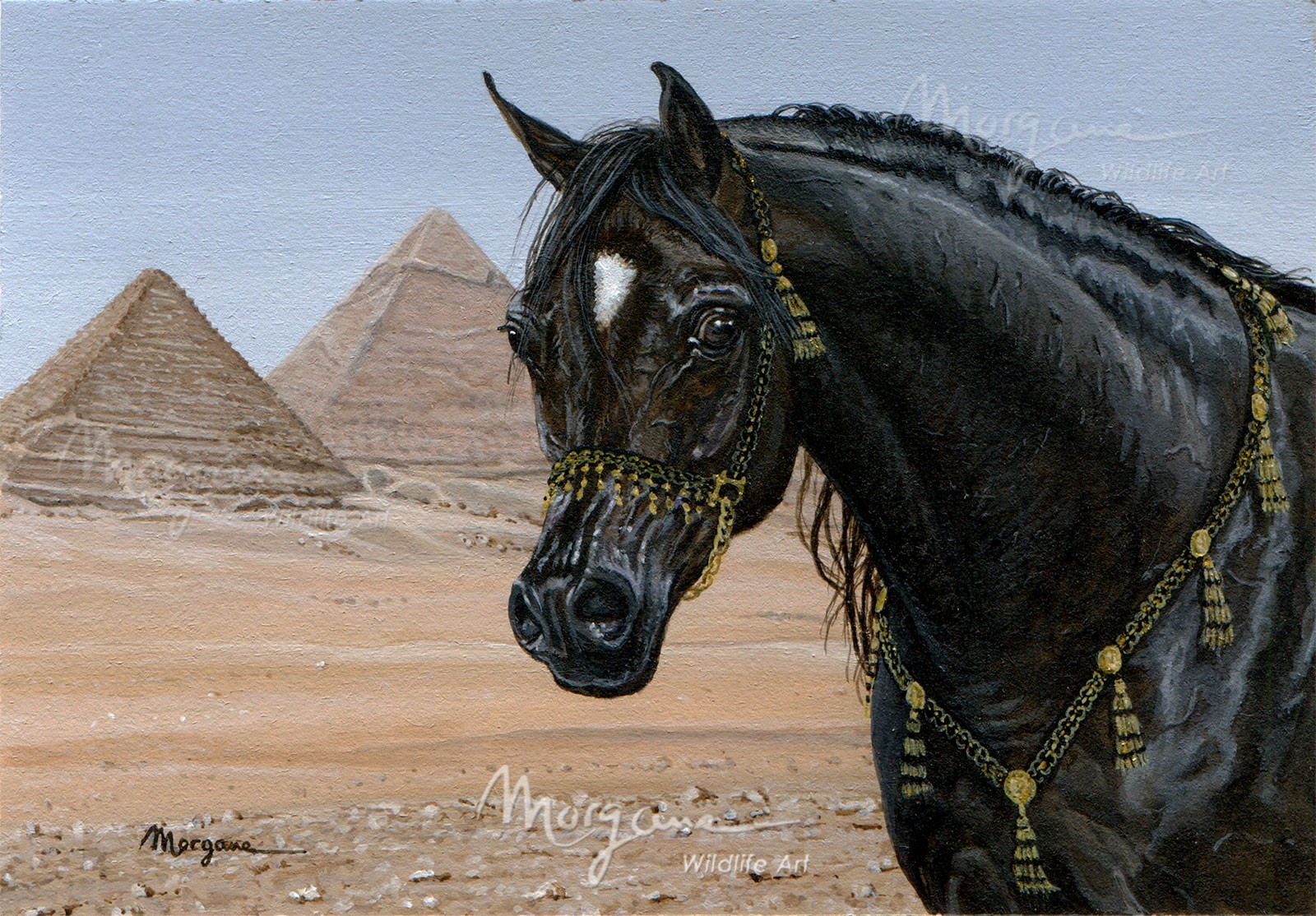 Egyptian Wonders