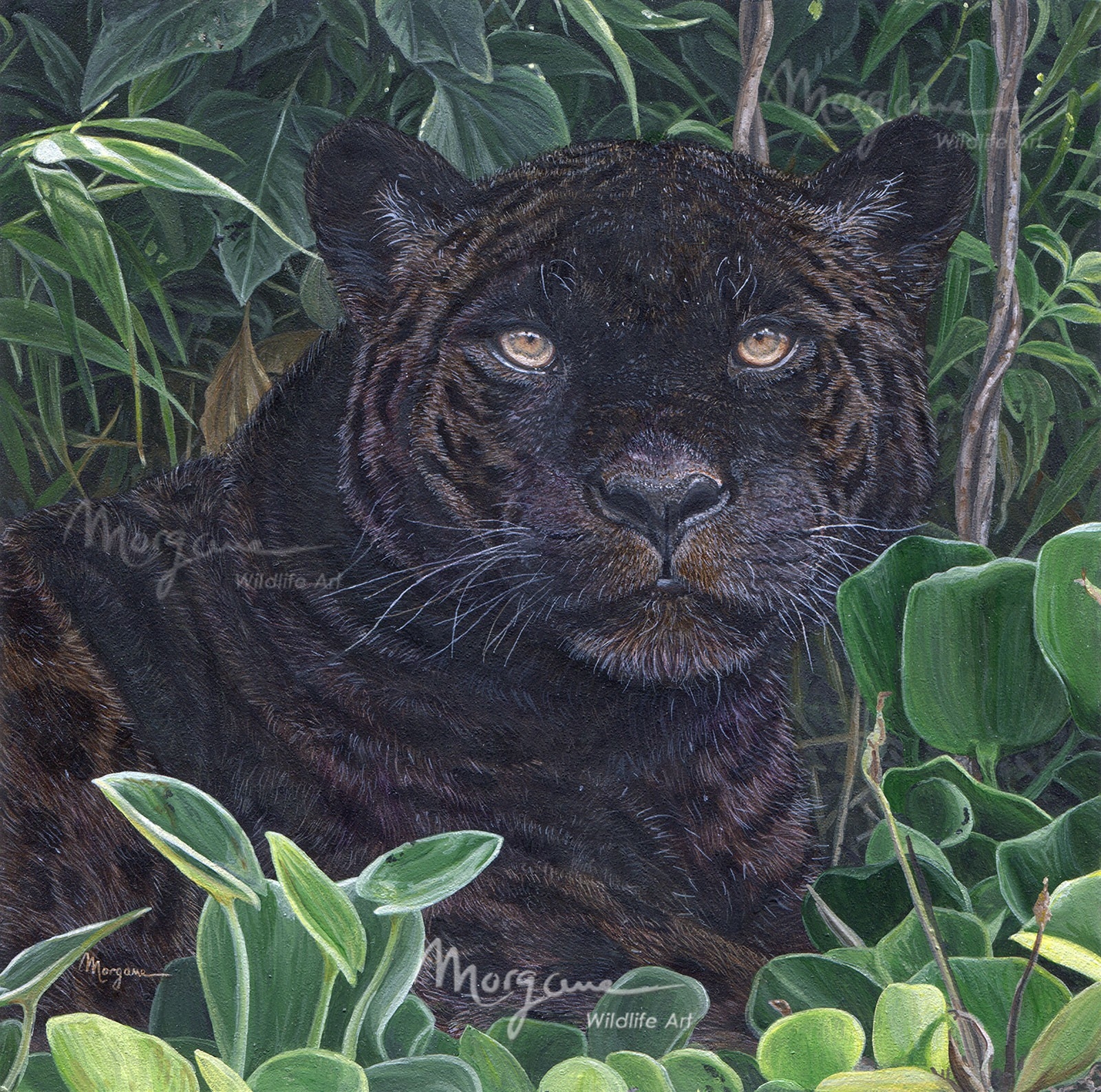 Espiritu de la Selva