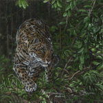 Pantanal Hunter