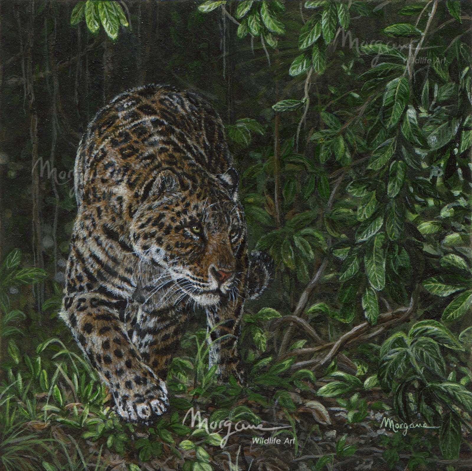 Pantanal Hunter