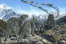 A Prayer for the Snow Leopard