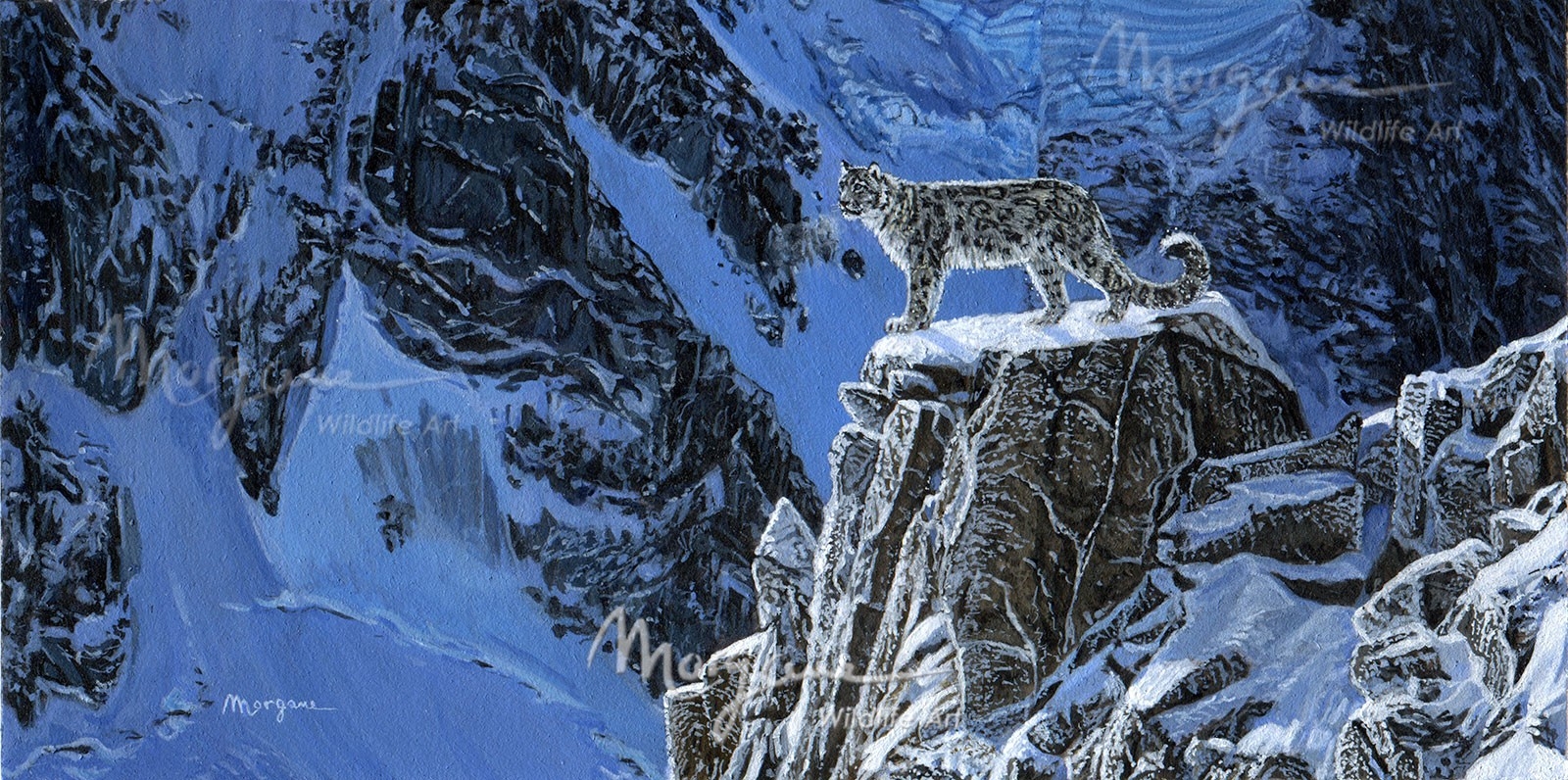 Frozen Kingdom