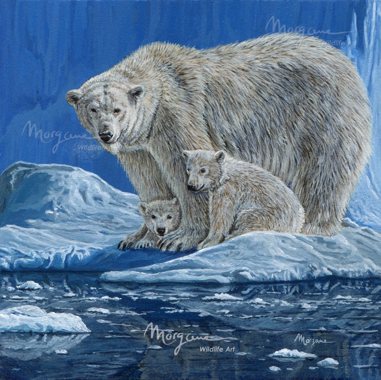 Polar Family