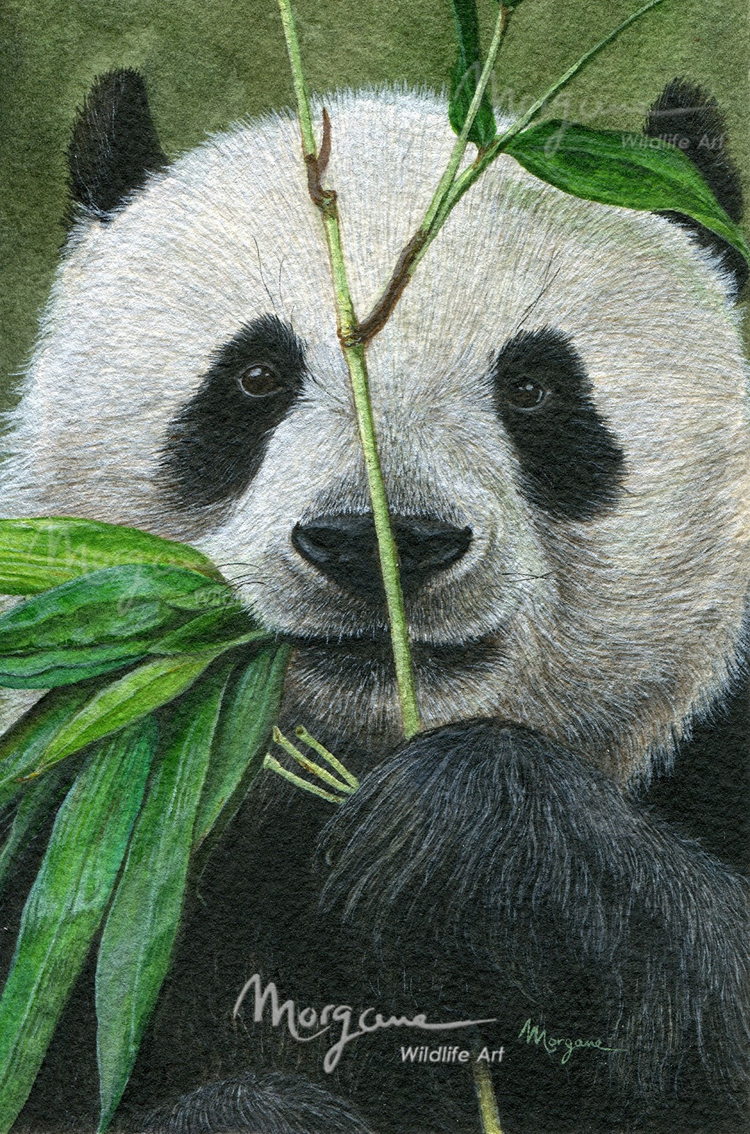 Bamboo Foodie