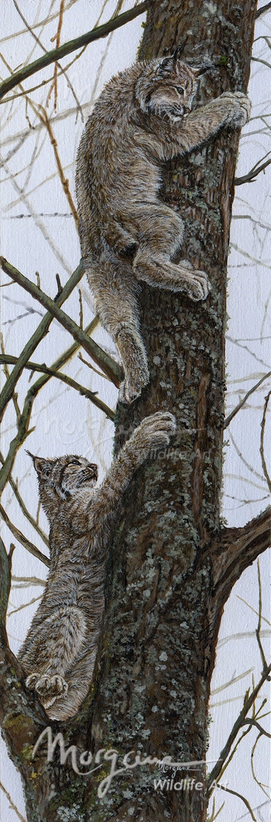 Playing in the Old Tree