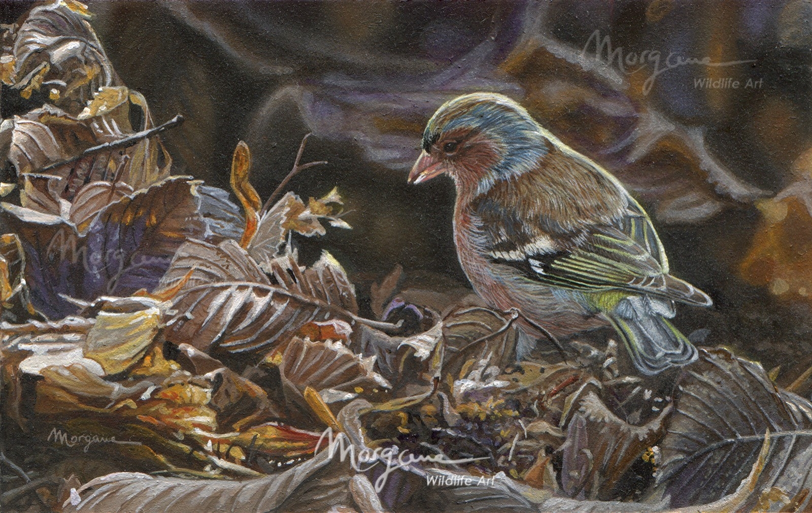 Autumn's Rich Tapestry