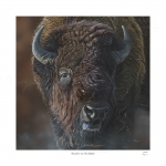 Ready to Rumble Limited Edition