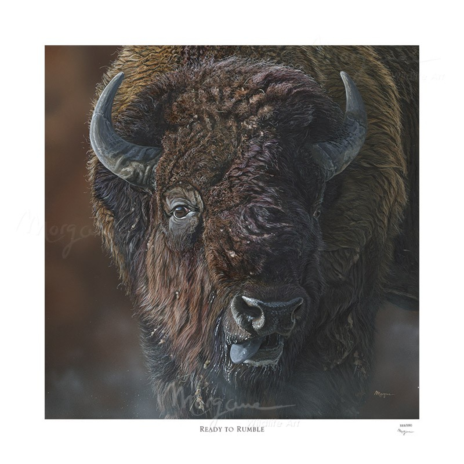 Ready to Rumble Limited Edition