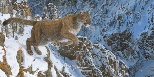 Cold and Calculating