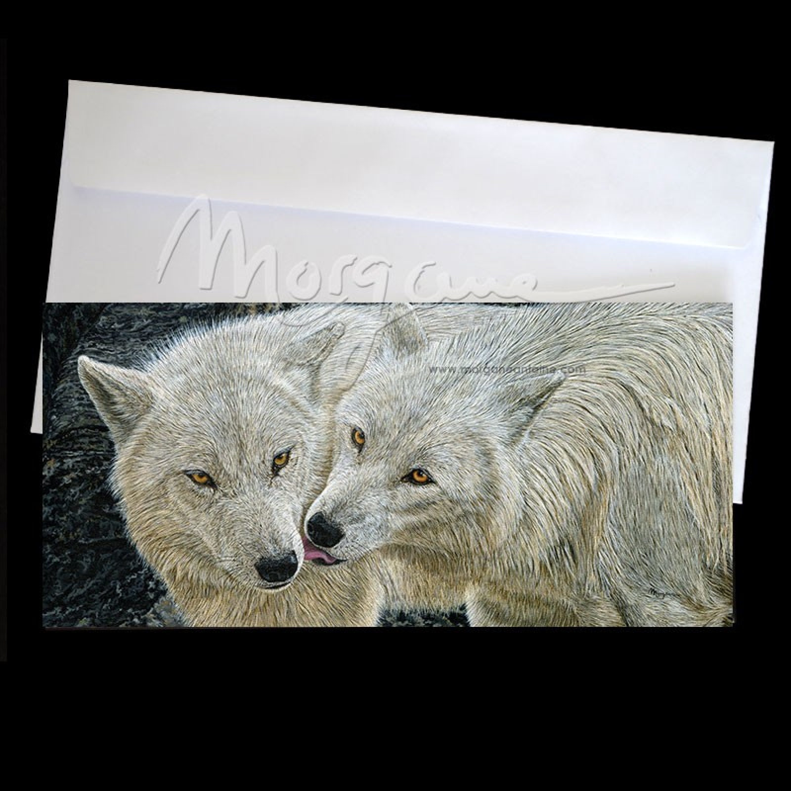 Arctic Kiss Postcard