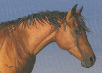 Sunset Horse A222