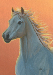 Sunset Horse A221