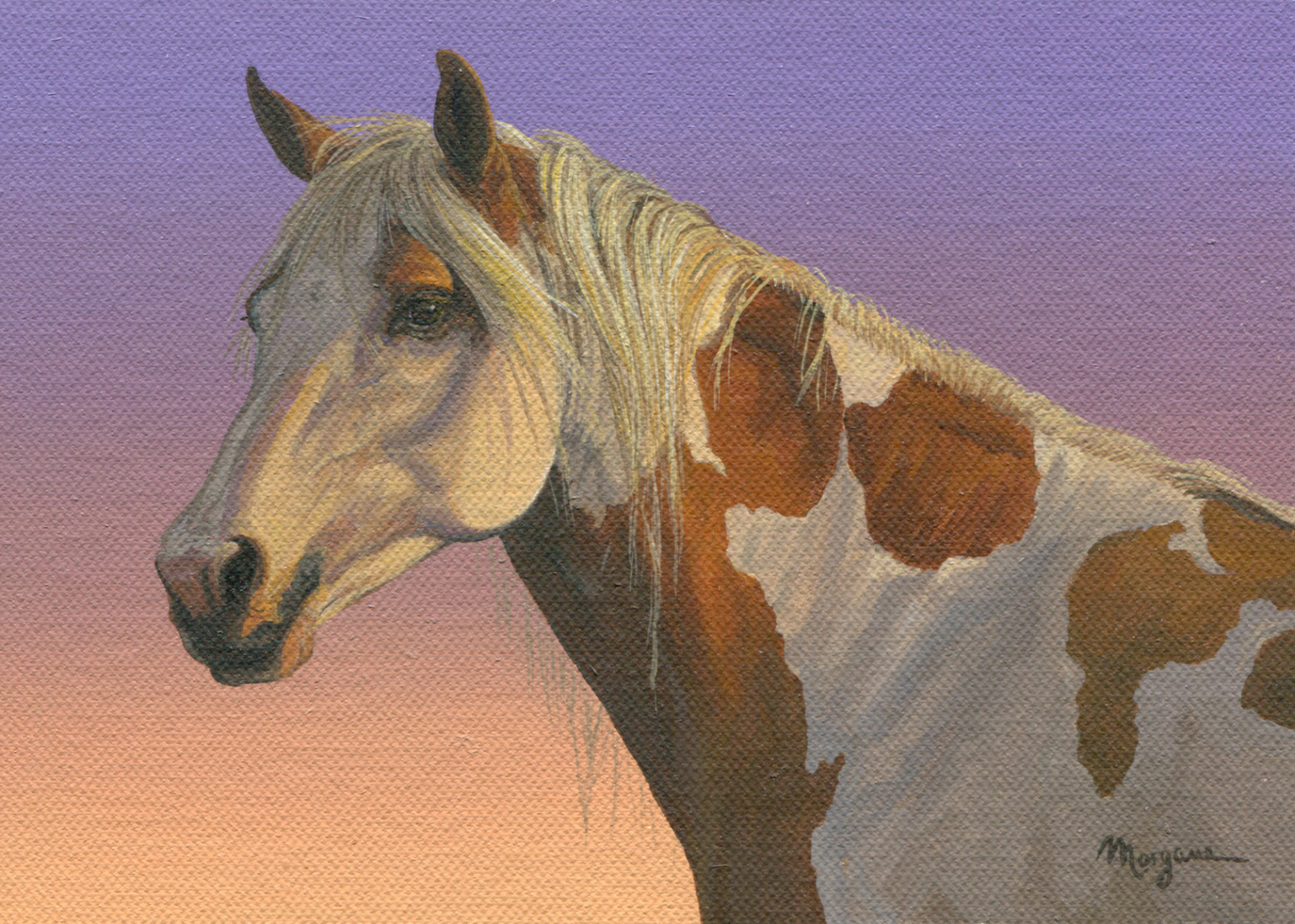 Sunset Horse A223