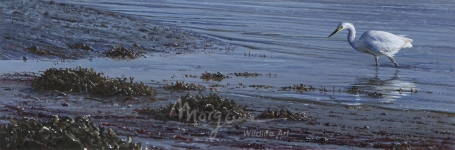 Low Tide on the Rance