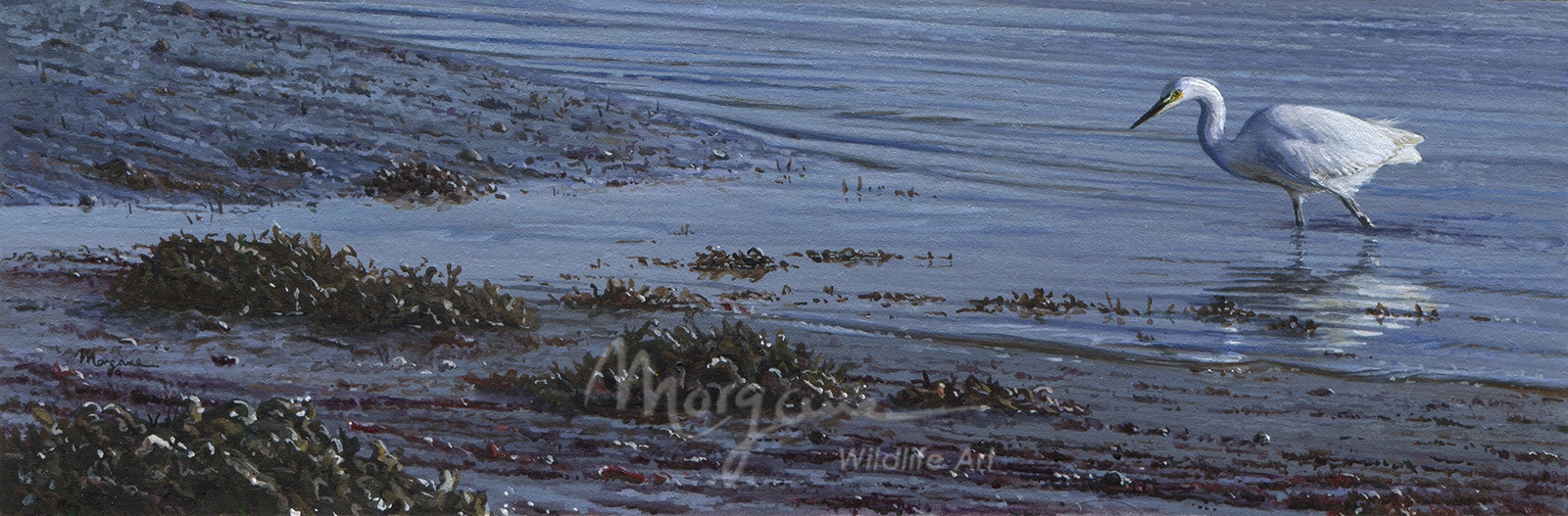 Low Tide on the Rance