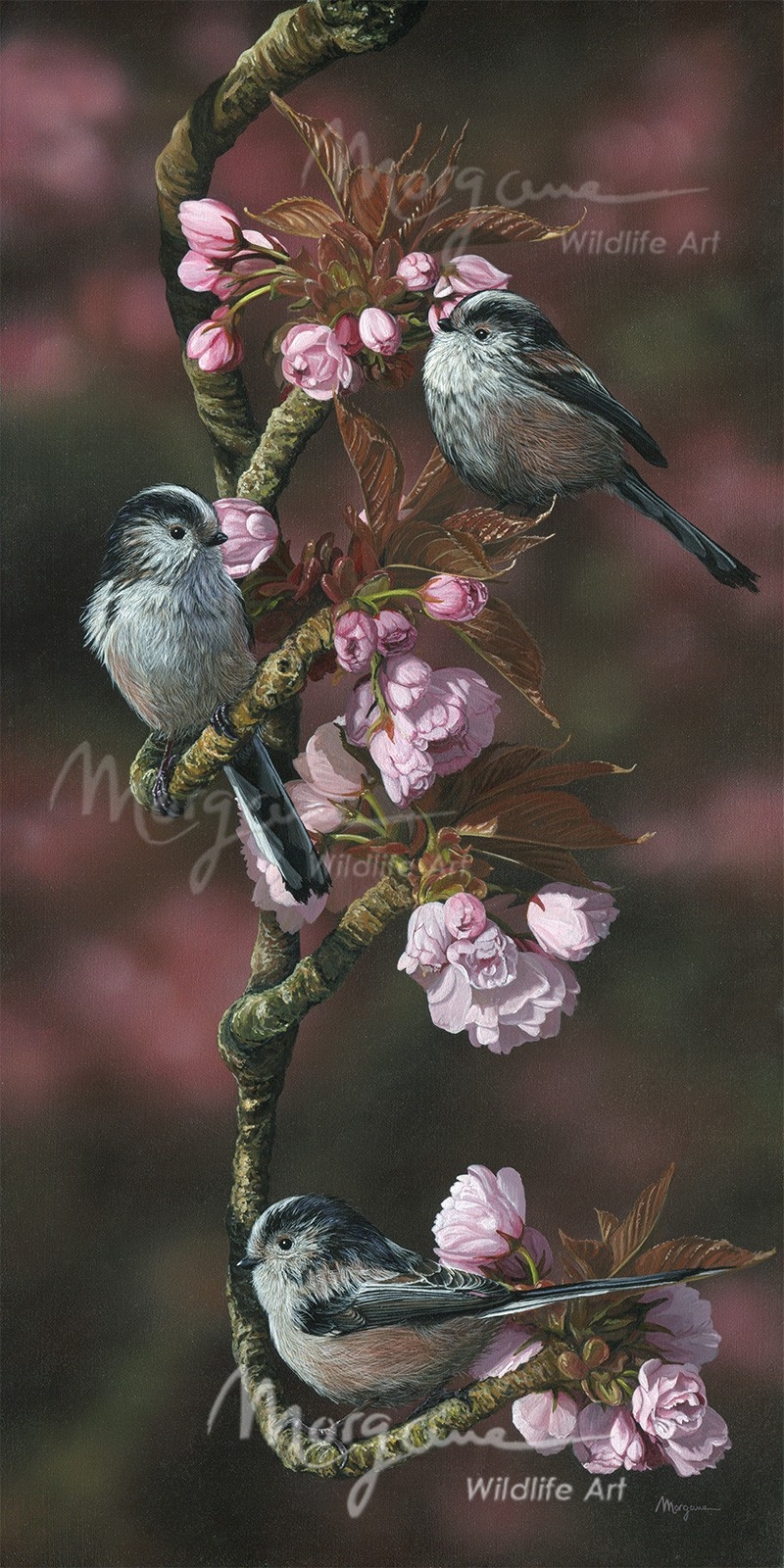 Hanami