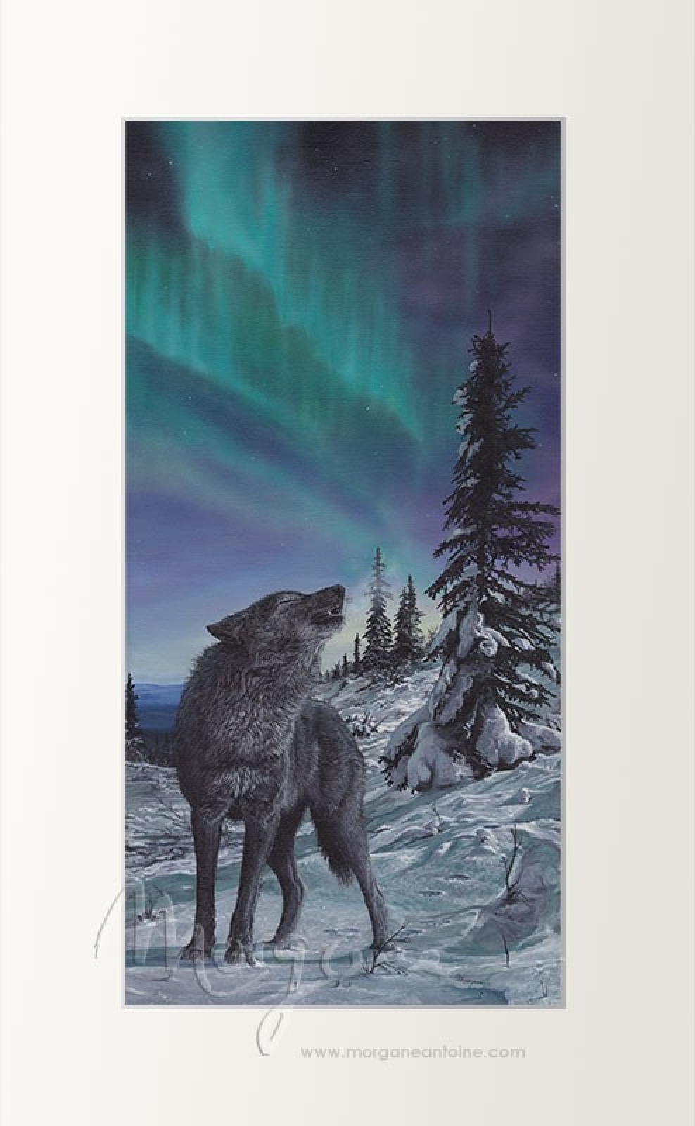 Aurora Song Open Edition