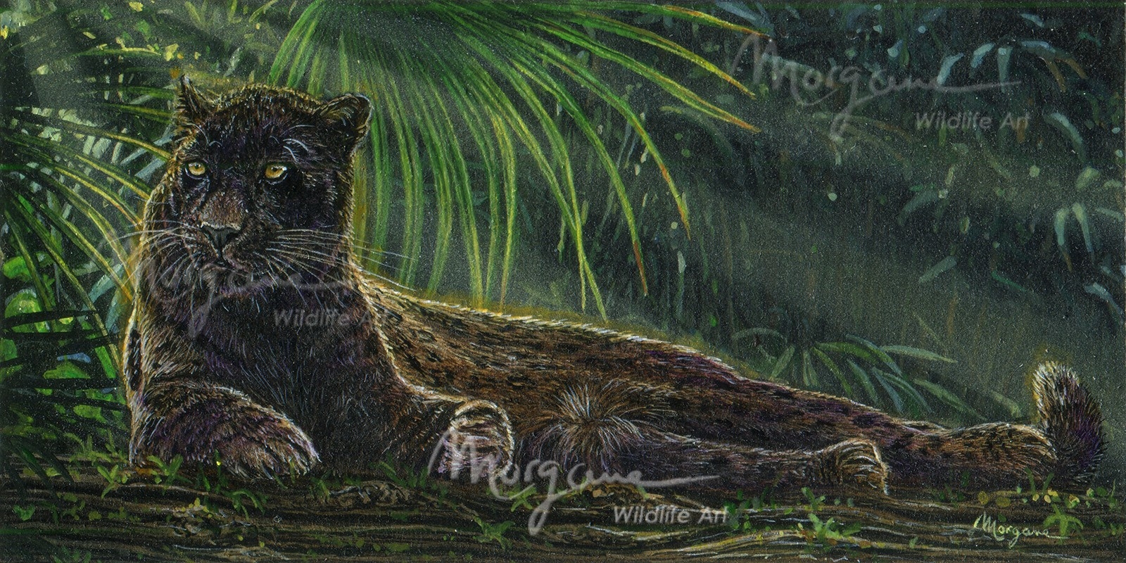 Jungle Shadows