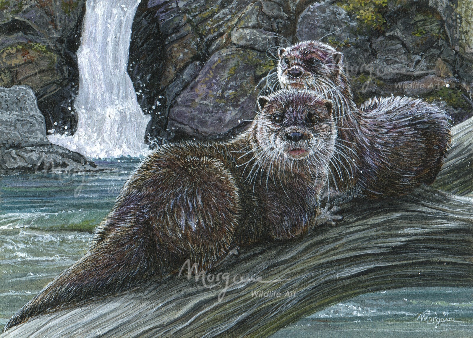 Wet on Dry