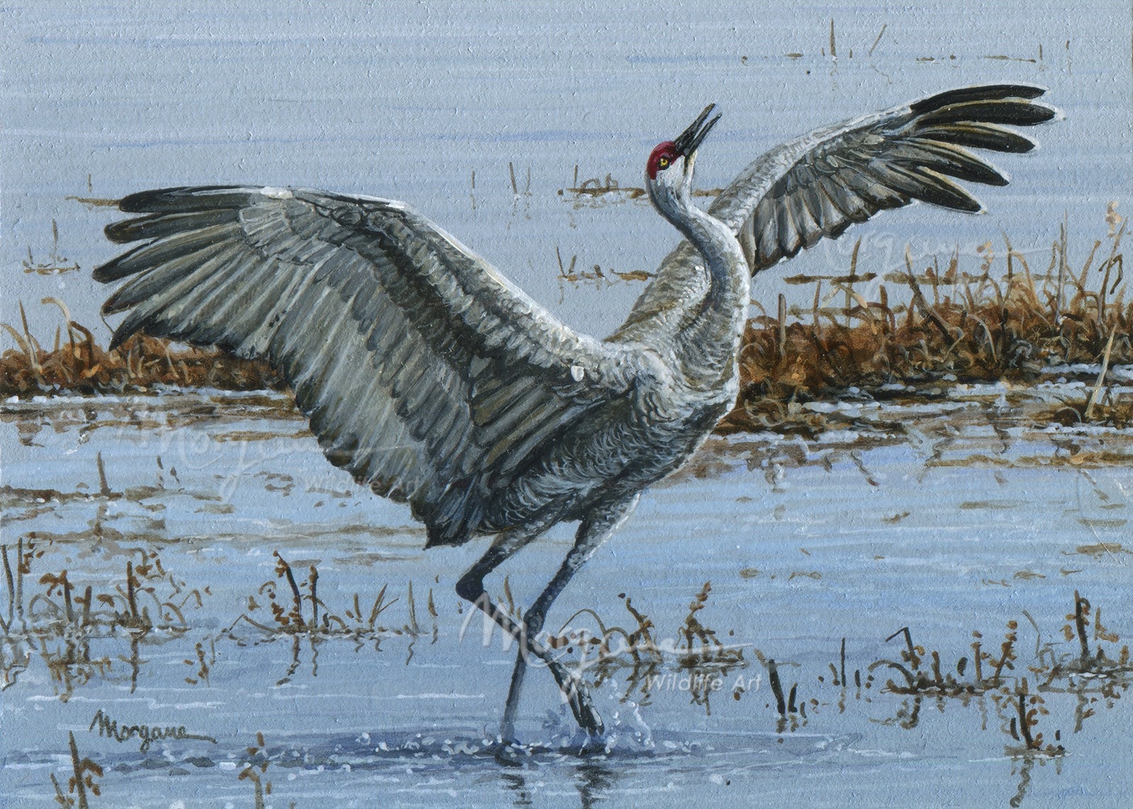 Sandhill Dancer