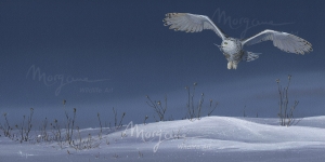 Tundra Ghost