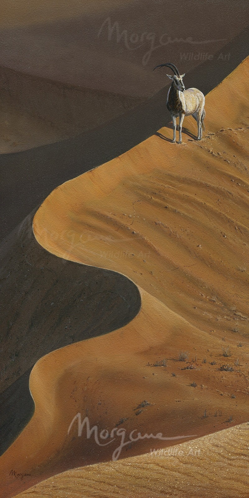 Scimitar Mirage