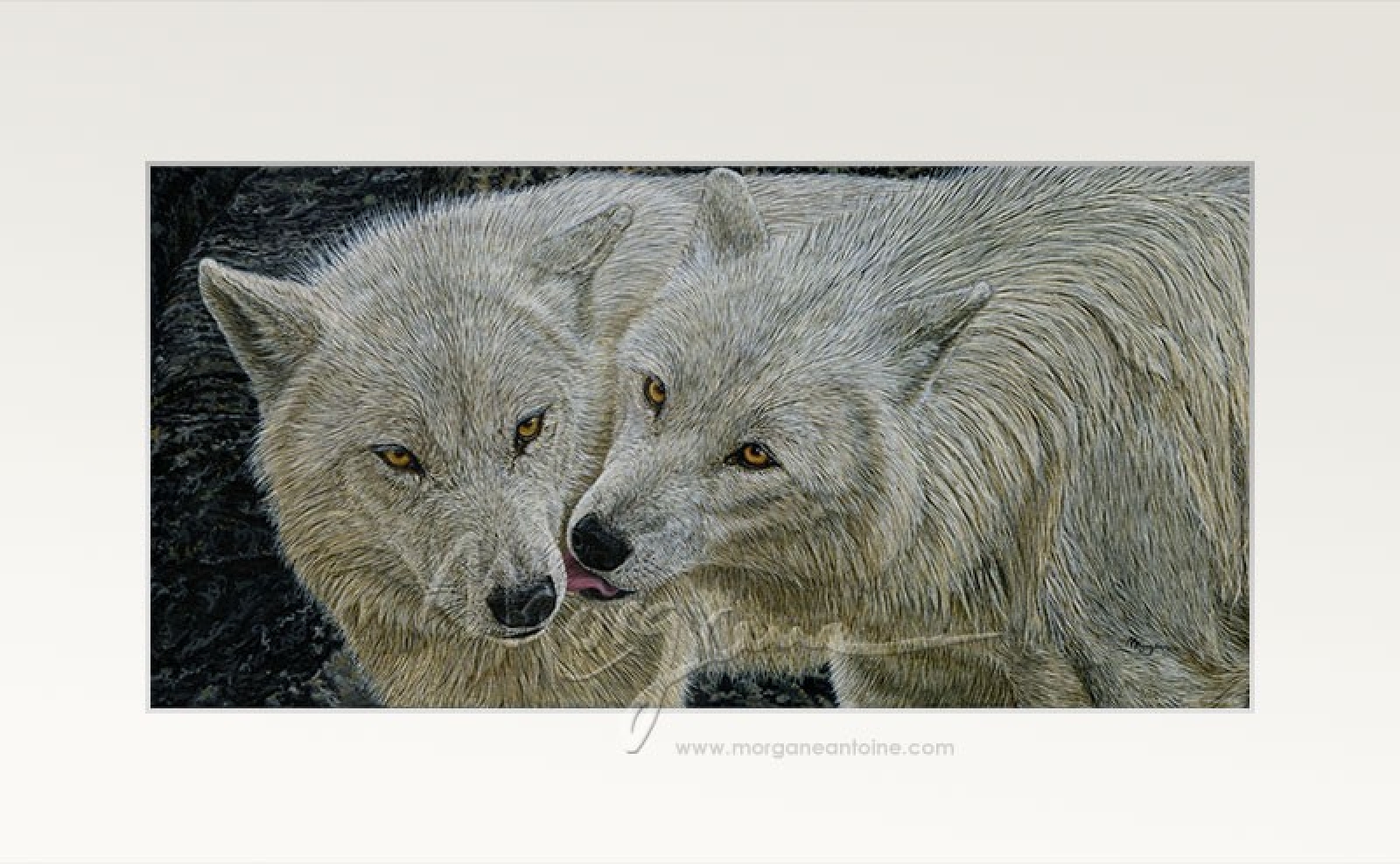 Arctic Kiss Open Edition