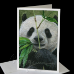 Bamboo Foodie Greeting Card