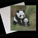 Bamboo Nest Postcard