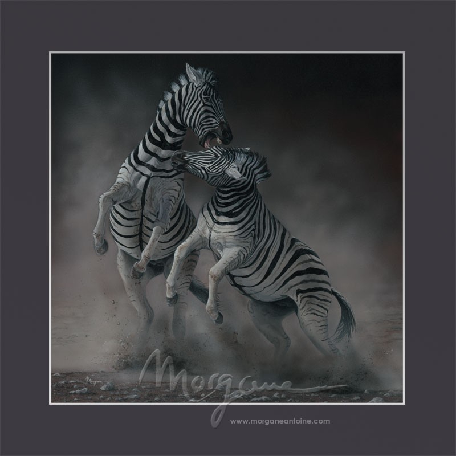 Contenders Open Edition