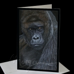 Don't Mess With Me Greeting Card