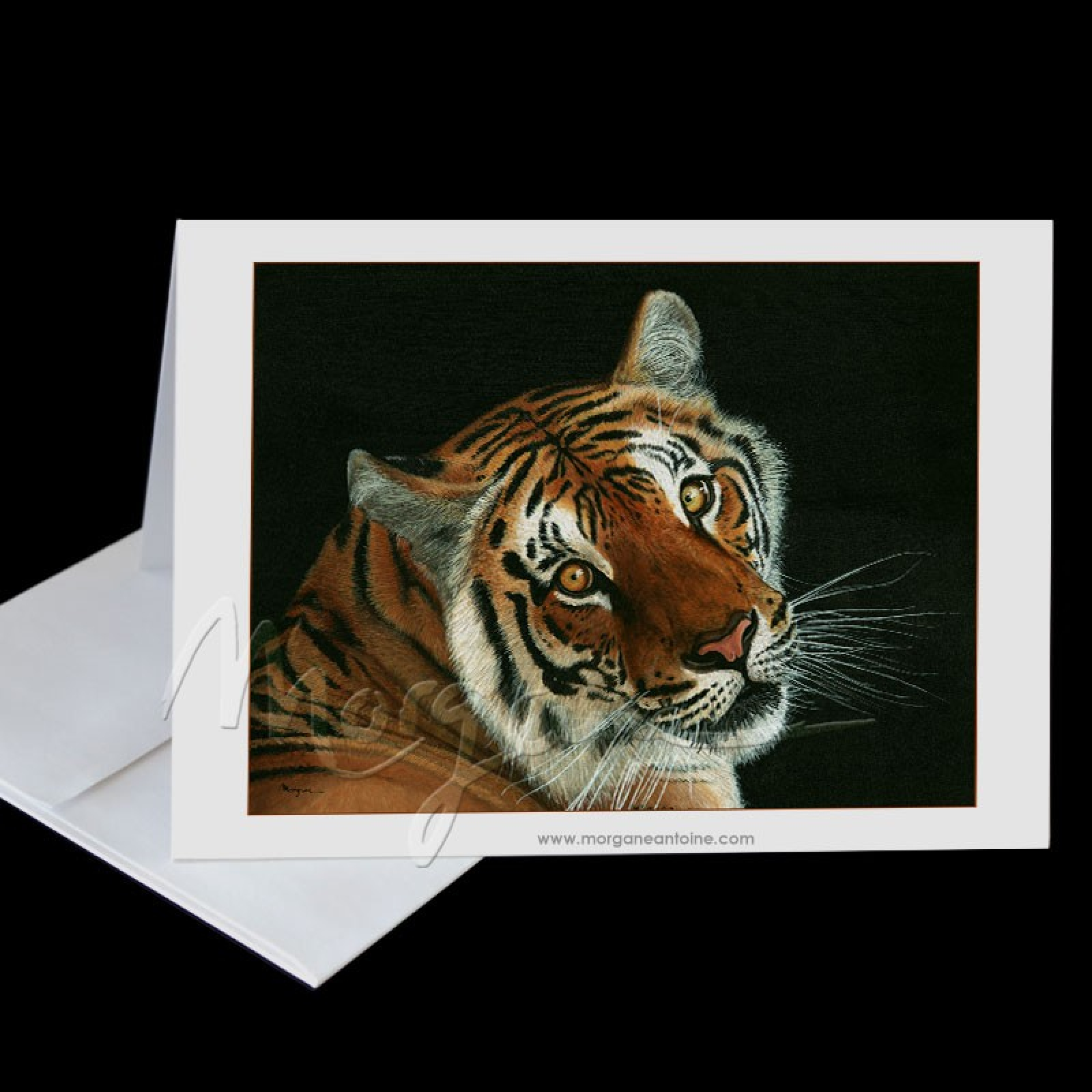 Eye of the Tiger Greeting Card